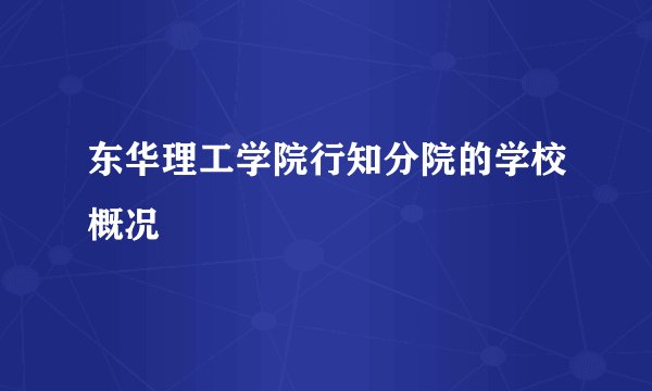 东华理工学院行知分院的学校概况