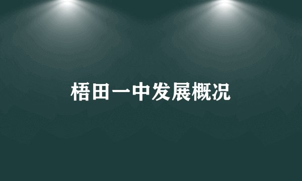 梧田一中发展概况