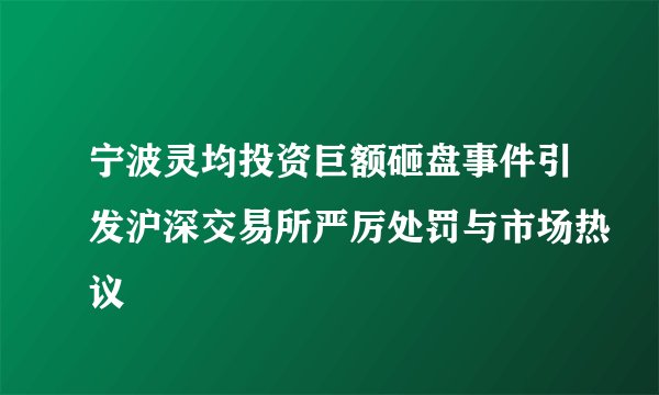 宁波灵均投资巨额砸盘事件引发沪深交易所严厉处罚与市场热议