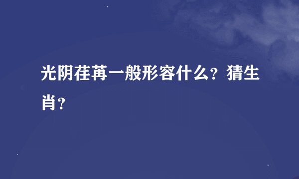 光阴荏苒一般形容什么?猜生肖?