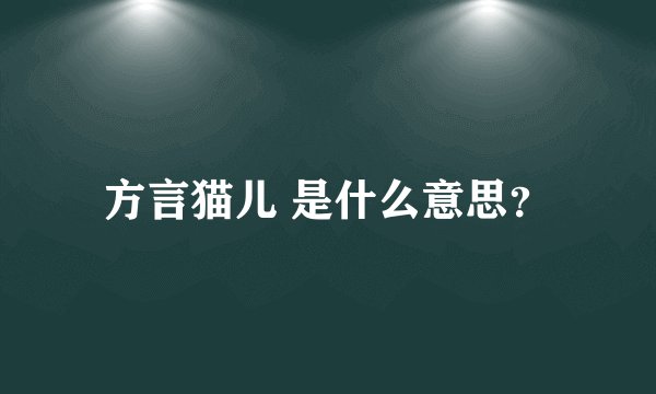 方言猫儿 是什么意思？
