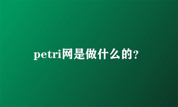 petri网是做什么的？