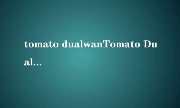 tomato dualwanTomato DualWAN 功能