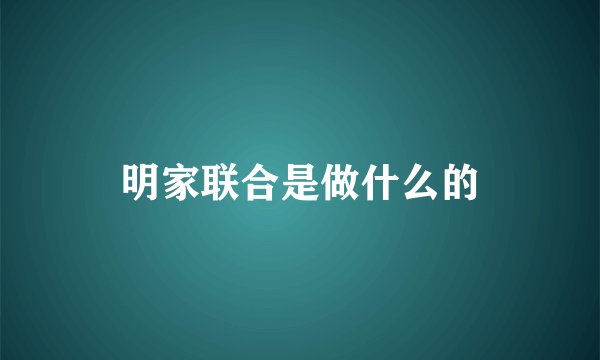 明家联合是做什么的