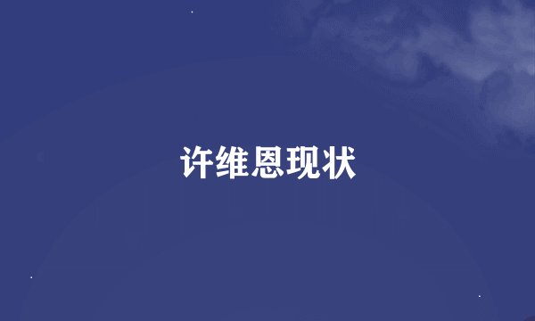 许维恩现状