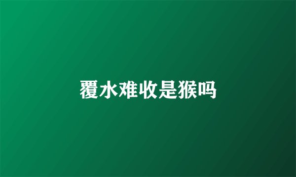 覆水难收是猴吗