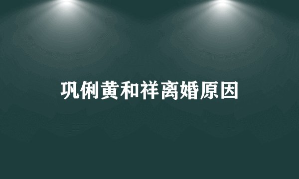 巩俐黄和祥离婚原因