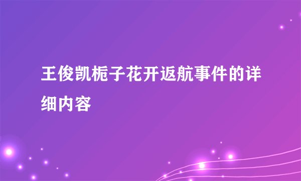 王俊凯栀子花开返航事件的详细内容