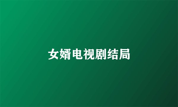 女婿电视剧结局