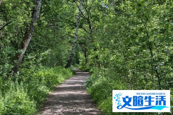 高考录取线差法怎么算