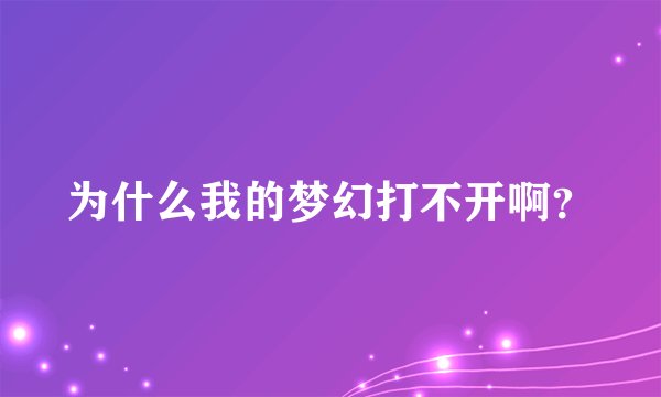 为什么我的梦幻打不开啊？