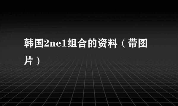 韩国2ne1组合的资料（带图片）