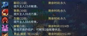 倩女幽魂灵兽技能书怎么用最实用-倩女幽魂灵兽技能书实用攻略分享