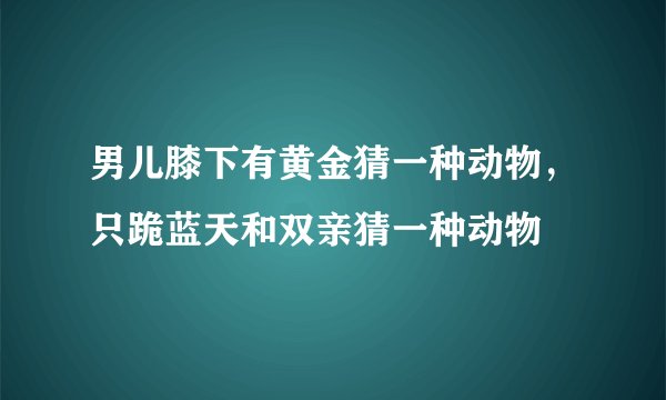 男儿膝下有黄金猜一种动物，只跪蓝天和双亲猜一种动物
