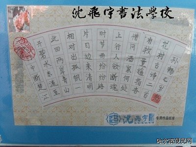 沈飞宇的介绍