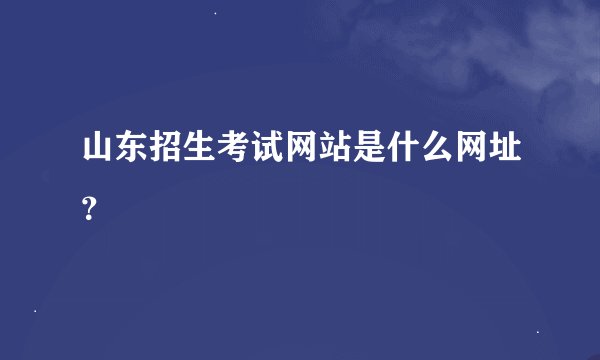 山东招生考试网站是什么网址？