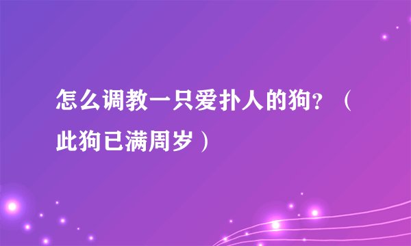 怎么调教一只爱扑人的狗？（此狗已满周岁）