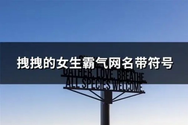 2024最火的昵称女带符号