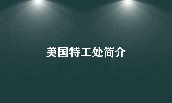 美国特工处简介