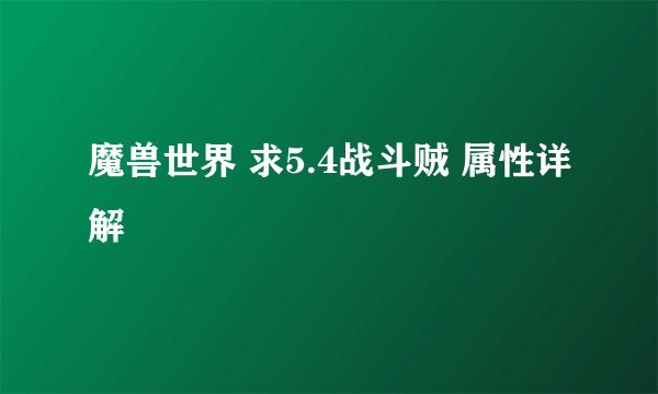 魔兽世界 求5.4战斗贼 属性详解