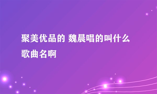 聚美优品的 魏晨唱的叫什么歌曲名啊