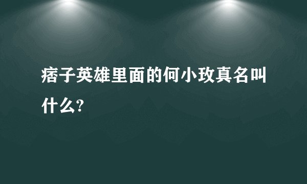 痞子英雄里面的何小玫真名叫什么?