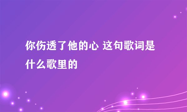 你伤透了他的心 这句歌词是什么歌里的