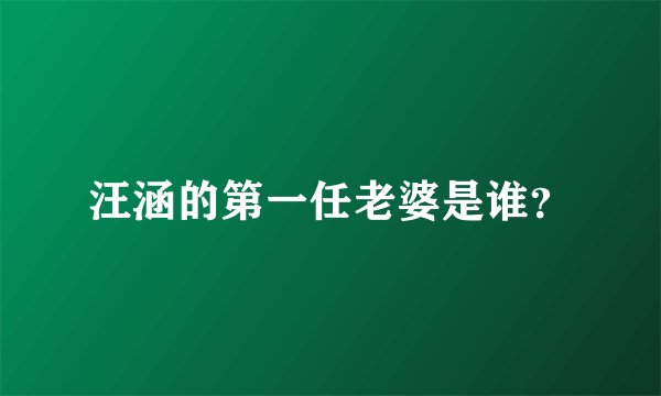 汪涵的第一任老婆是谁？