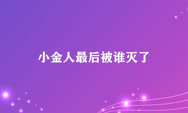 小金人最后被谁灭了