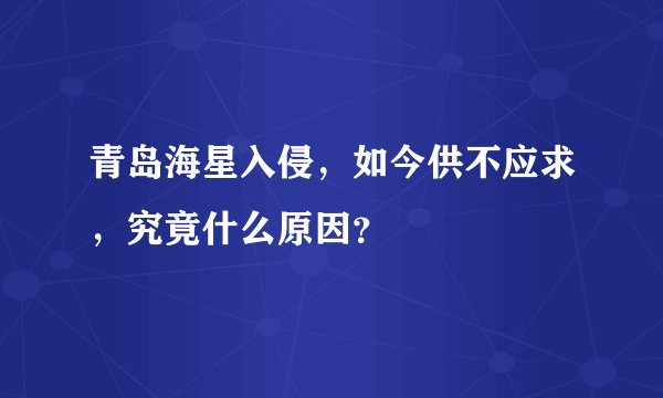 青岛海星入侵，如今供不应求，究竟什么原因？