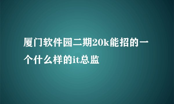 厦门软件园二期20k能招的一个什么样的it总监