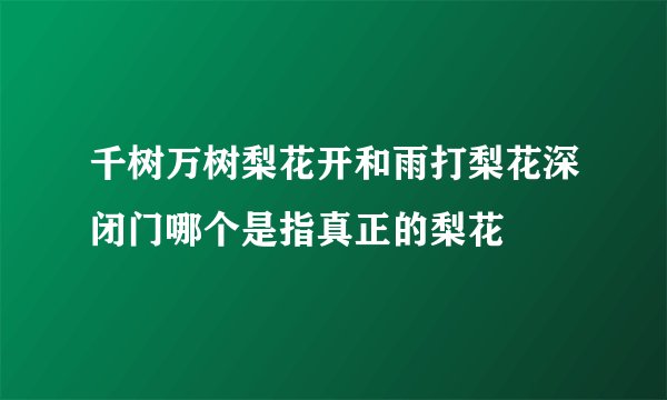 千树万树梨花开和雨打梨花深闭门哪个是指真正的梨花
