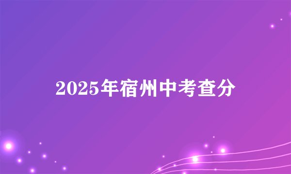 2025年宿州中考查分