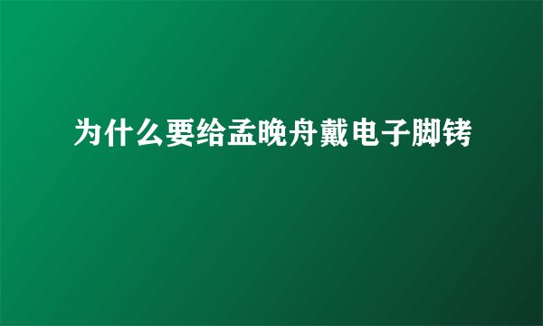 为什么要给孟晚舟戴电子脚铐
