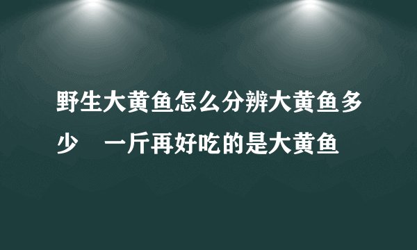 野生大黄鱼怎么分辨大黄鱼多少銭一斤再好吃的是大黄鱼