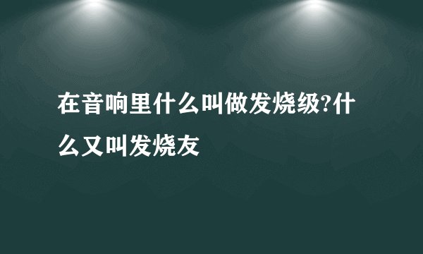 在音响里什么叫做发烧级?什么又叫发烧友