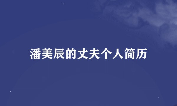 潘美辰的丈夫个人简历