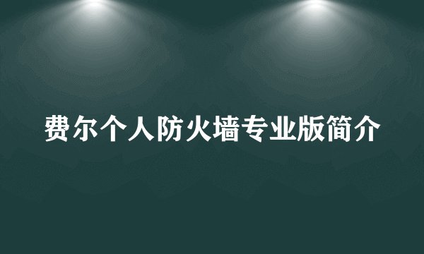 费尔个人防火墙专业版简介