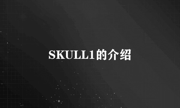 SKULL1的介绍