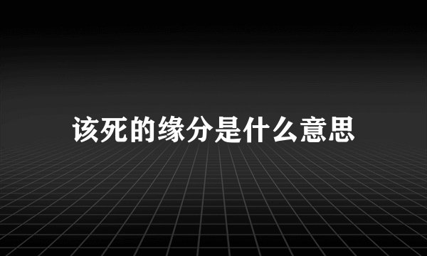 该死的缘分是什么意思
