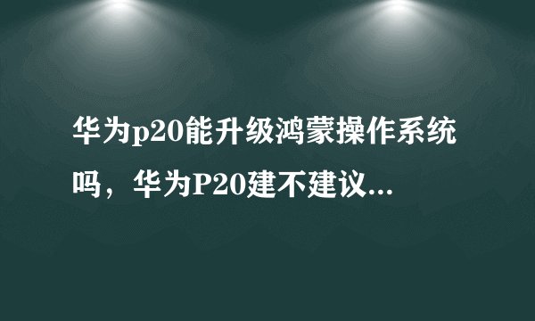 华为p20能升级鸿蒙操作系统吗，华为P20建不建议升级系统