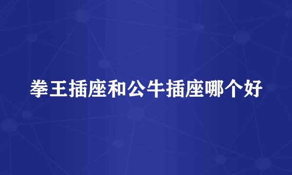 拳王插座和公牛插座哪个好