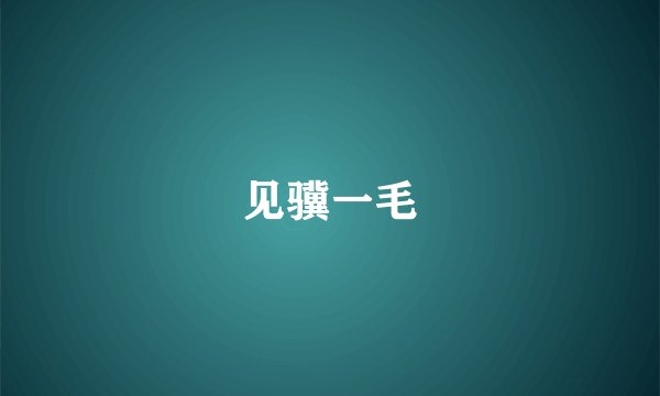见骥一毛