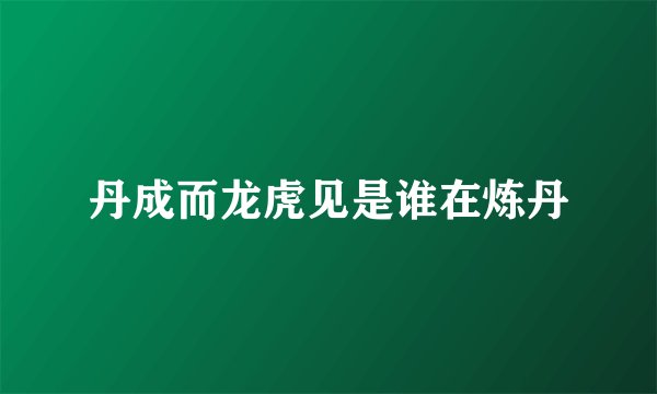 丹成而龙虎见是谁在炼丹