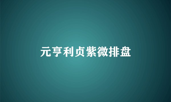 元亨利贞紫微排盘