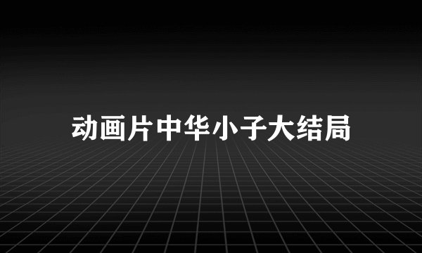 动画片中华小子大结局