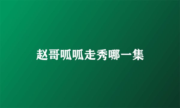 赵哥呱呱走秀哪一集