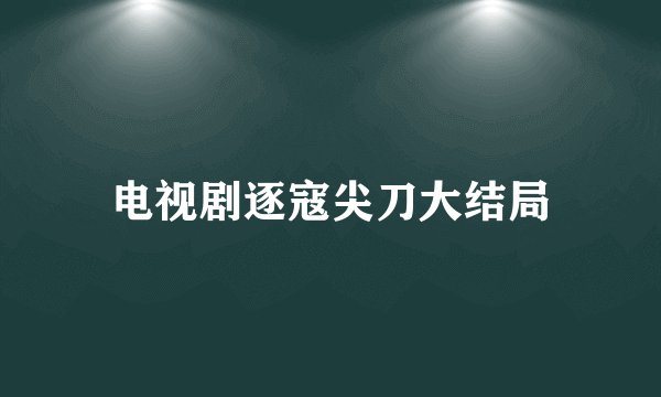电视剧逐寇尖刀大结局