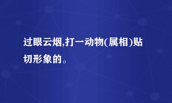 过眼云烟,打一动物(属相)贴切形象的。