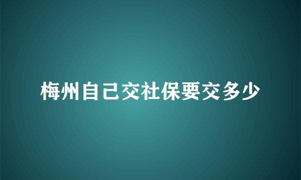 梅州自己交社保要交多少
